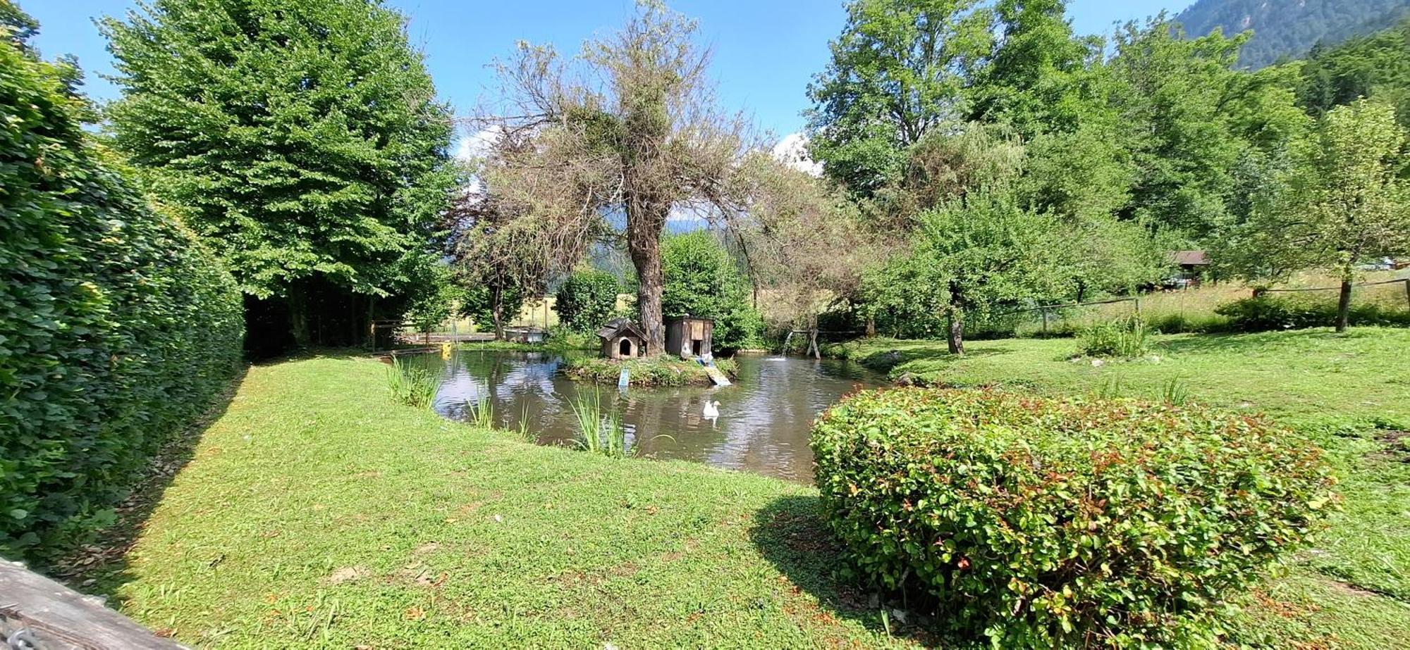Schloss Wasserleonburg * Nötsch